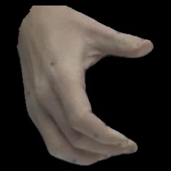 Input image: ARCTIC hand