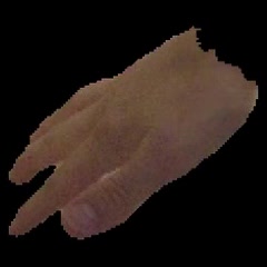 Input image: FreiHAND hand