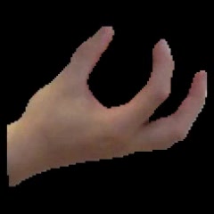Input image: FreiHAND hand, curled fingers