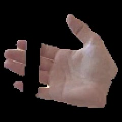 Input image: FreiHAND palm with a fragmented mask