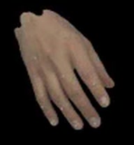Input image: ARCTIC hand, back of the hand