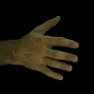 Input image: InterHand2.6M source frame